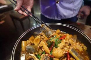 日本上海叫鸡,叫鸡产业的现状与影响
