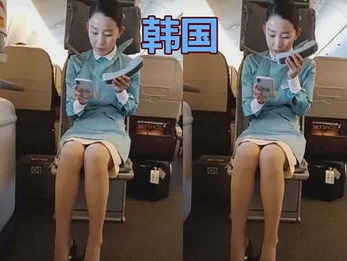 日本伦理的空姐,空姐的优雅与专业