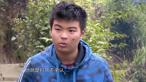 变形计庄前免费观看,庄前免费观看，揭秘农村生活巨变