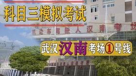 潍坊科目三考试视频,真实操作场景全解析