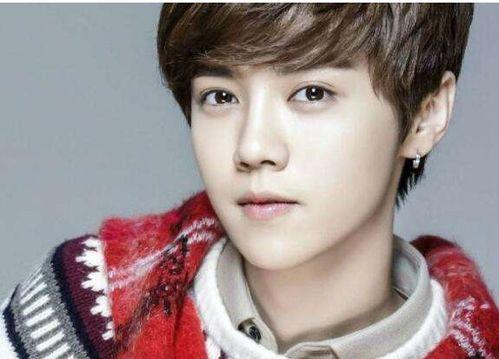 鹿晗出道预告视频,星光璀璨，未来可期